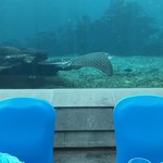 AQUA - SEAFOOD & STEAK RESTAURANT - 