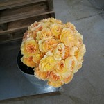 ワバラ カフェ - 