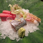 29年9月　造り　本鮪中トロ、秋刀魚、ノドグロ焼き霜