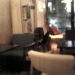 Zassi cafe - 雑誌カフェ店内