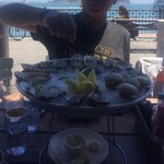 Hog Island Oyster Company - 