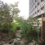 Kyouryouri Irifune - 29年9月　個室からの中庭