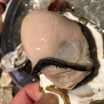 厚岸味覚ターミナル コンキリエ  - 