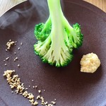 ビブレ - 茹で上げブロッコリー