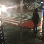 大雨の並木橋交差点