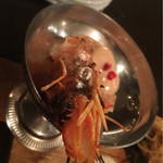 ミニヨンTOKYO - がおー！