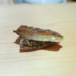 鮨 尚充 - めひかり