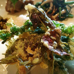 山のごはんよもぎ - （2017年5月）野草の天ぷら☆*:.｡. o(≧▽≦)o .｡.:*☆