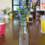 cafe Colorful - 