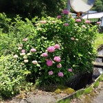 山のごはんよもぎ - （2017年7月）店の周辺