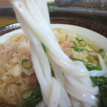 讃岐うどん がもう - 麺のアップ