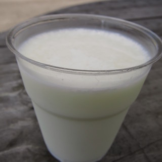 ミルクランドファーム_1