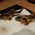 御料理 光安 - 安曇川の子持ち鮎塩焼き