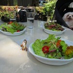 Sajilo Cafe Forest - 