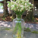 Sajilo Cafe Forest - 