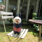 Sajilo Cafe Forest - 