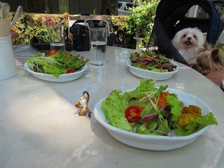 Sajilo Cafe Forest - 