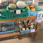 八紘学園 農産物直売所 - 【2017年07月】この日は、カボチャが種類豊富に有った。