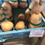 八紘学園 農産物直売所 - 【2017年07月】今シーズン初の「バターナッツカボチャ」購入(^o^)/