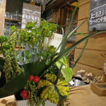 HATAKE NO NAKA - 開店一周年記念にお花が飾られてた(2017年9月)