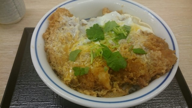 閉店 かつや 天文館タカプラ店 天文館通 とんかつ 食べログ 閉店 かつや 天文館タカプラ店 天文館通 とんかつ 食べログ