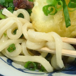 Taishuu Izakaya Birikensan - 「肉玉ぶっかけうどん（冷）小」やや細めでエッジが立った麺