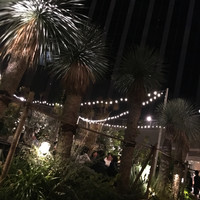TOOTH TOOTH GARDEN RESTAURANT - 