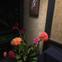 焼鶏あきら 中目黒本店 - 