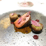 ラ ペ - スペイン産鴨胸肉のロースト　山椒の風味とポルトワインのソース　赤キャベツと黒ニンニクのジュレ　ブータンノワールテリーヌのクロケット　マッシュルームと赤キャベツのマリネ