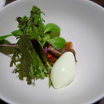 アコルドゥ - 野迫川のアマゴ