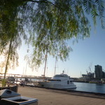 Squires Loft - メルボルンは外が気持ちいいのです