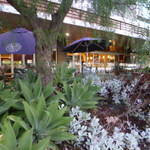 Squires Loft - 植込みもきれいなんです