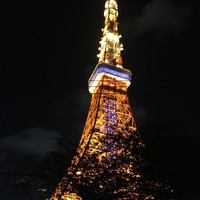 タワシタ - 