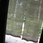 Shimosaka - 入り口・暖簾の内側から外を見た