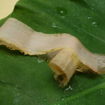 木山 - 本枯れ節