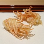 てんぷら 近藤 - 車海老（頭）
