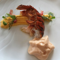 IL PINOLO 梅田 - 