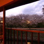 水辺のカフェ 三宅商店 酒津 - ＜春＞２階の窓から公園の桜を借景に