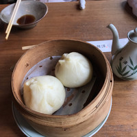 雪梅花 菜根譚 - 