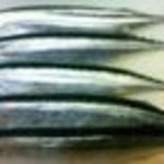 ごはんや幸太郎 - 極上のサンマ