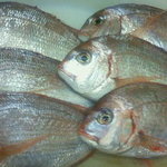 ごはんや幸太郎 - 小鯛の酒蒸しか鯛茶漬