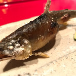 とっぴんぱらりのぷ - 鮎