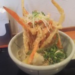 讃岐のおうどん 花は咲く - 彩り4種野菜のかき揚げぶっかけ 850円