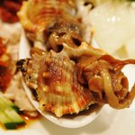 新中国料理 HARAKAWA - ニシ貝の紹興酒漬け