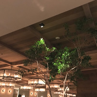 ロウリーズ・ザ・プライムリブ 恵比寿ガーデンプレイス店 - 