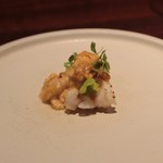 アカ - イシカゲガイと天草雲丹