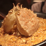 アカ - 北海道噴火湾産毛ガニのパエリア