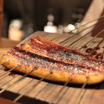 アカ - 浜名湖の大きな鰻