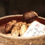 アカ - 岩手の松茸