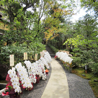 高台寺 十牛庵 - 進みます